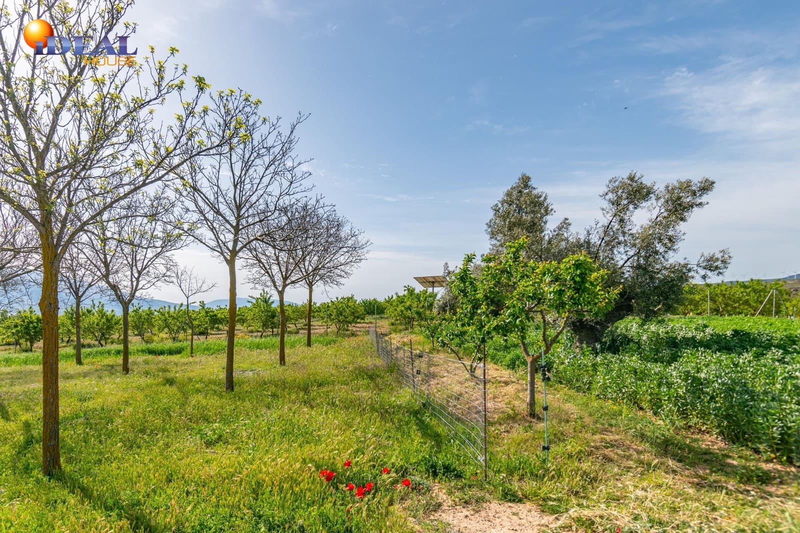 Grunde uden byggetilladelser til salg i Padul - € 330.000 (Ref: 9434042)