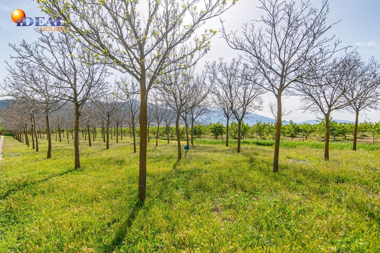 Grunde uden byggetilladelser til salg i Padul - € 330.000 (Ref: 9434042)