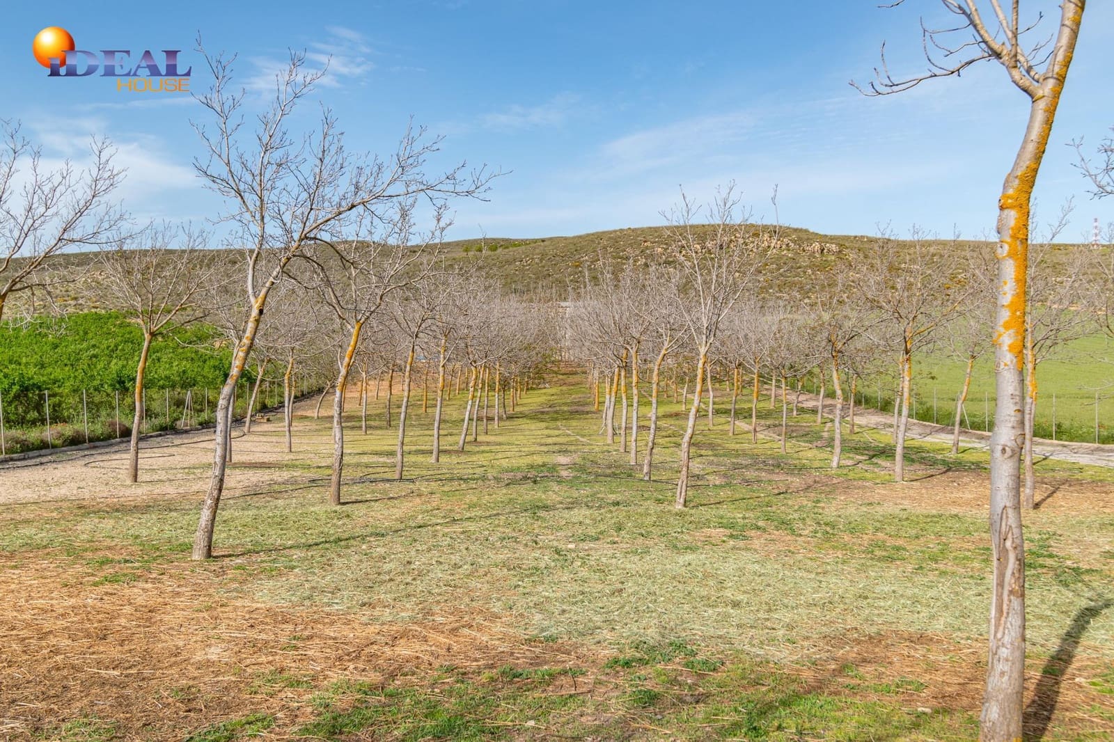 Grunde uden byggetilladelser til salg i Padul - € 330.000 (Ref: 9434042)