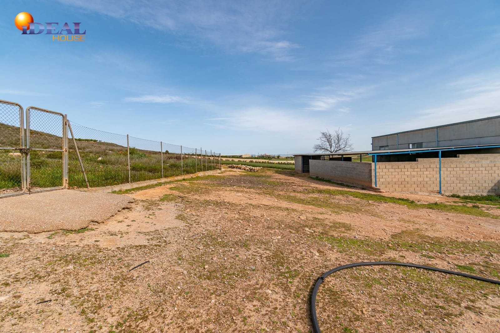 Grunde uden byggetilladelser til salg i Padul - € 330.000 (Ref: 9434042)