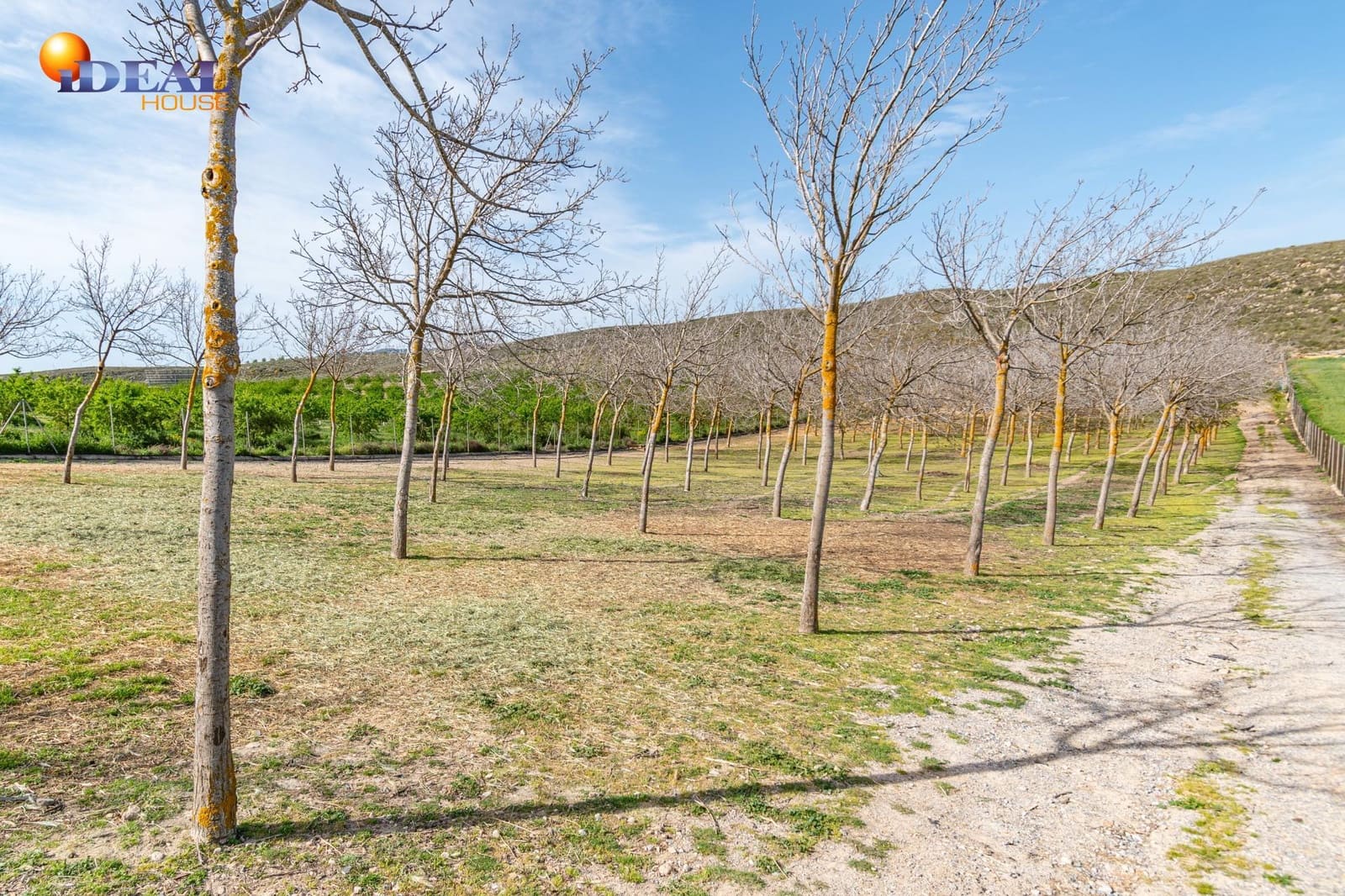 Grunde uden byggetilladelser til salg i Padul - € 330.000 (Ref: 9434042)