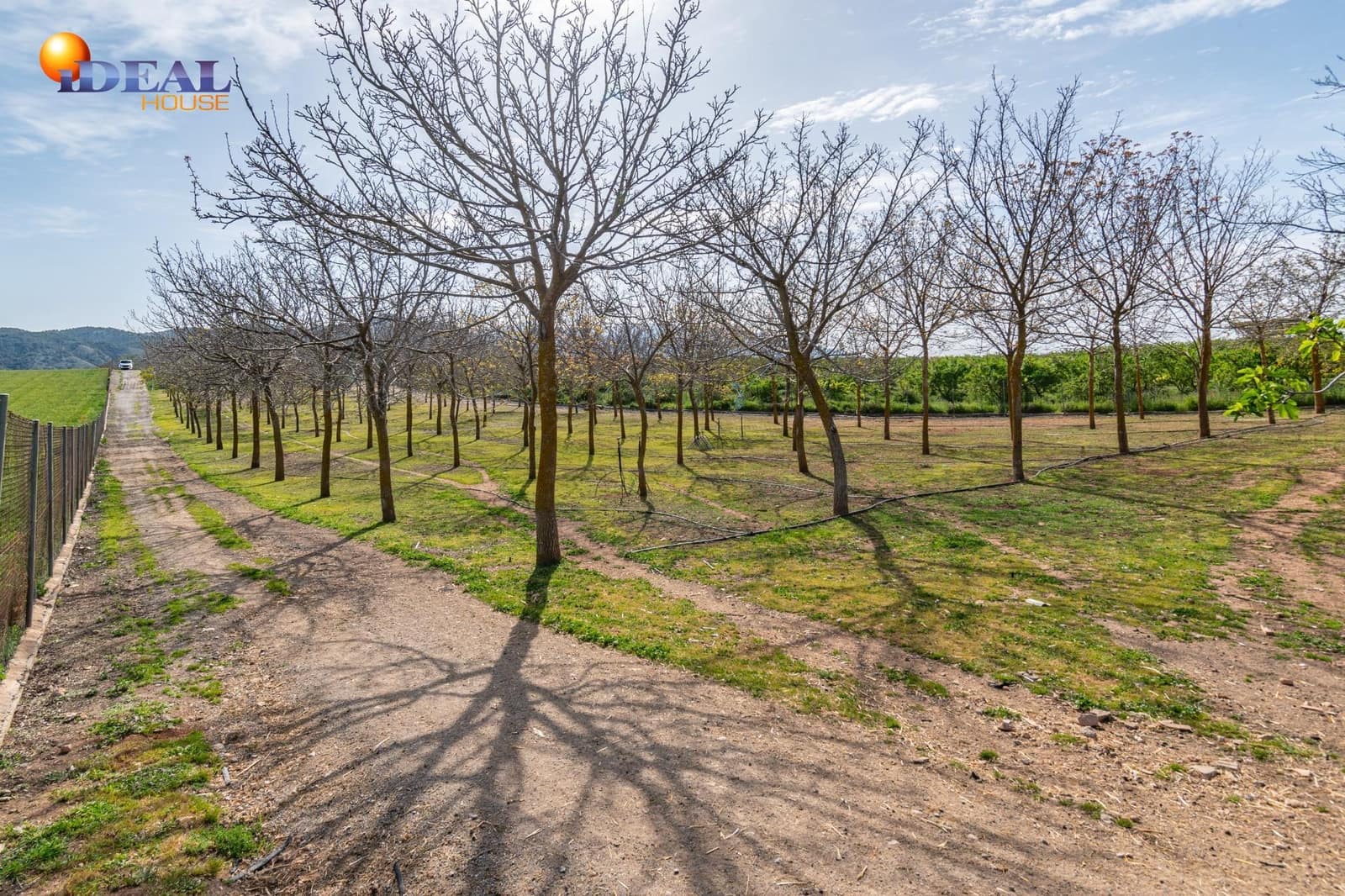 Grunde uden byggetilladelser til salg i Padul - € 330.000 (Ref: 9434042)