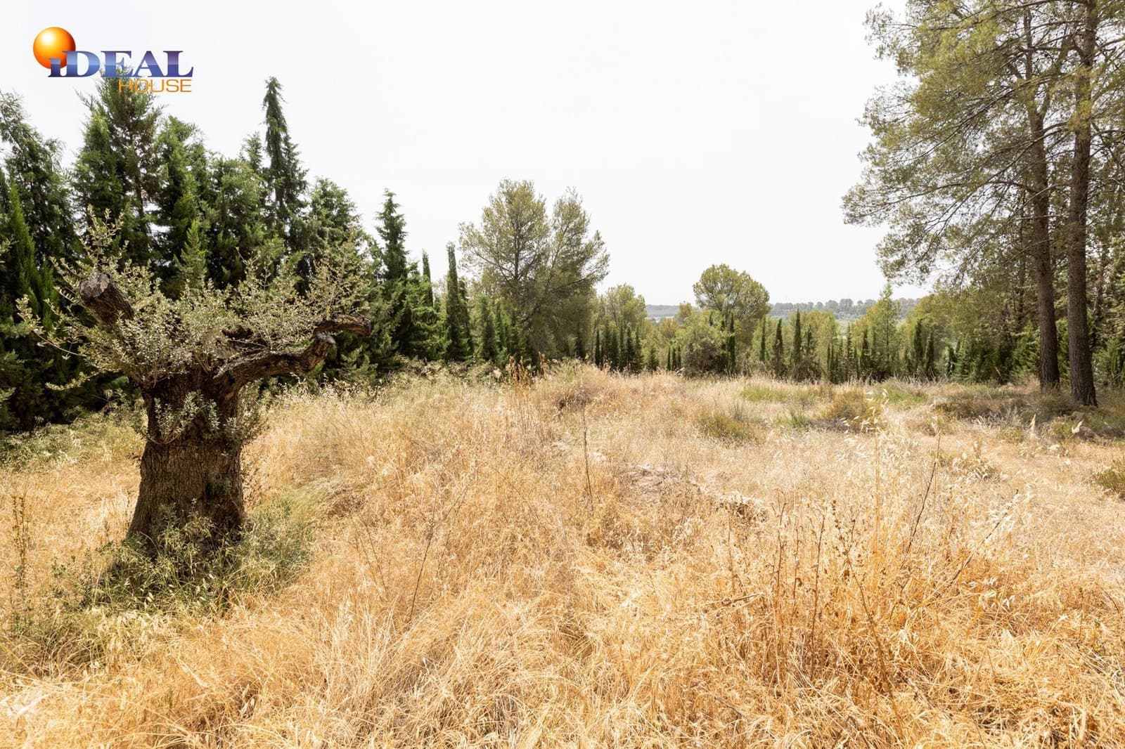 Tontti myytävänä paikassa Albolote - 300 000 € (Ref: 9434092)