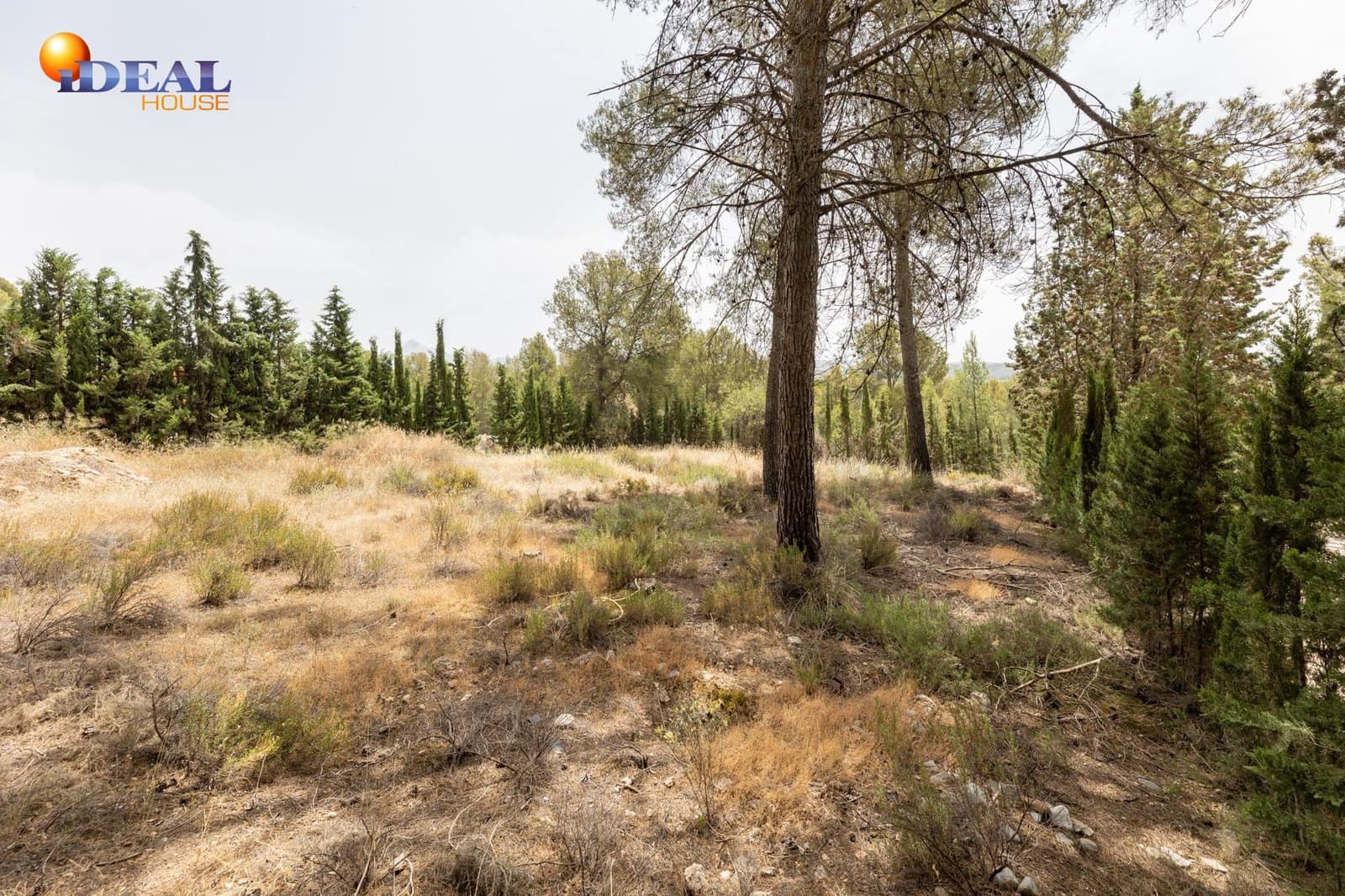 Tontti myytävänä paikassa Albolote - 300 000 € (Ref: 9434092)