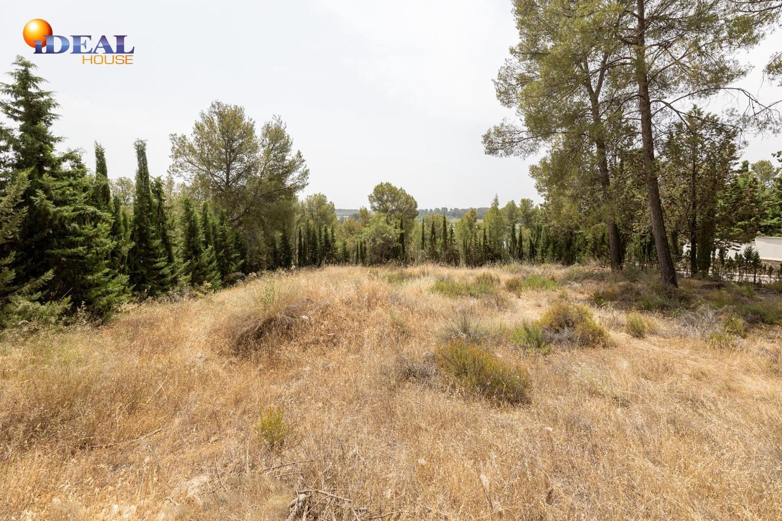 Tontti myytävänä paikassa Albolote - 300 000 € (Ref: 9434092)