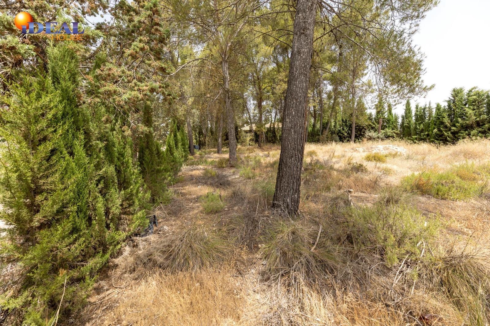 Tontti myytävänä paikassa Albolote - 300 000 € (Ref: 9434092)