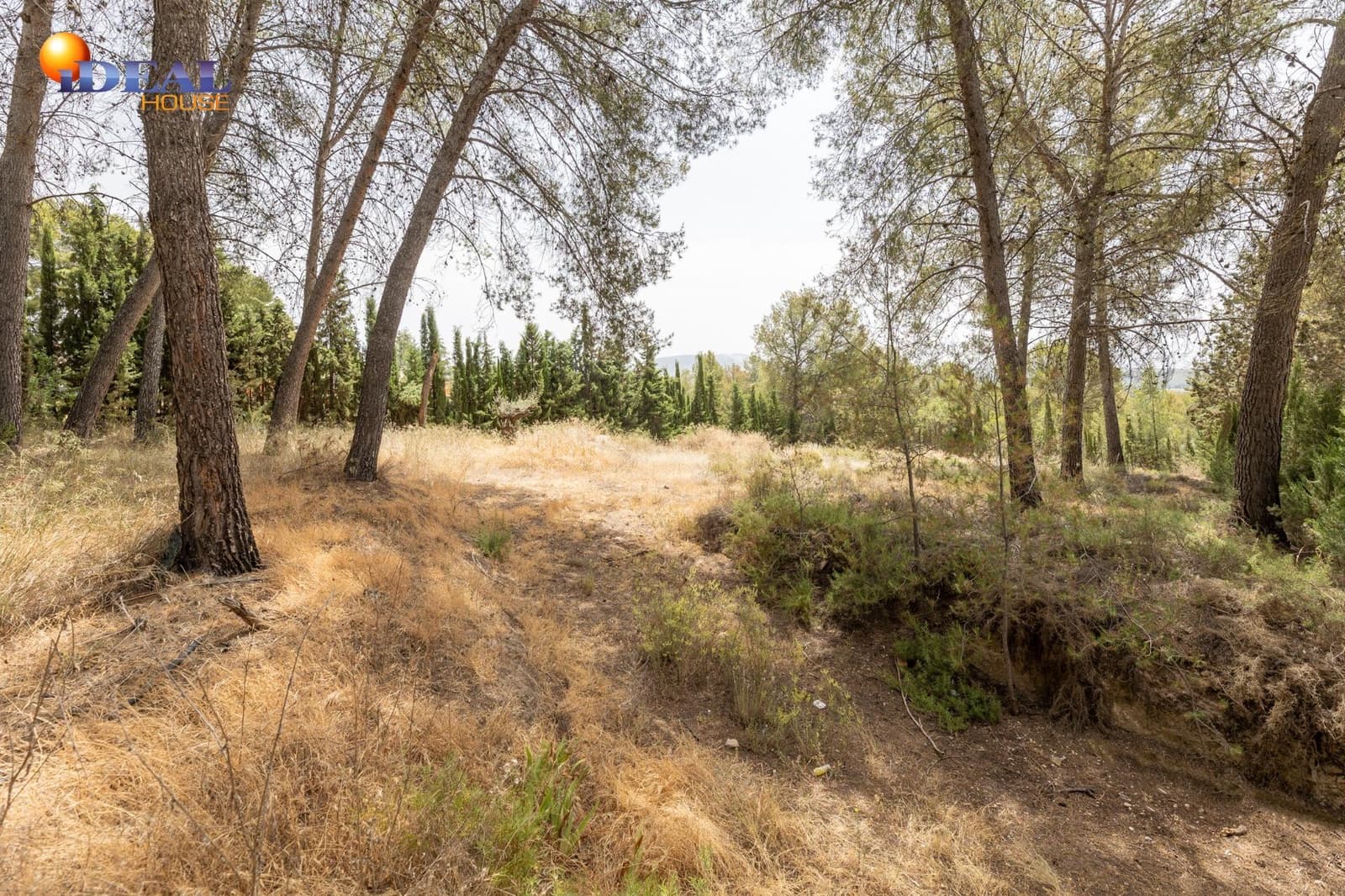 Tontti myytävänä paikassa Albolote - 300 000 € (Ref: 9434092)