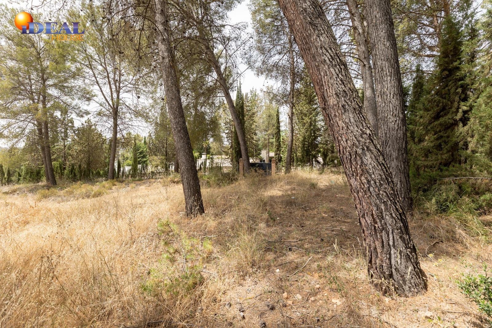 Tontti myytävänä paikassa Albolote - 300 000 € (Ref: 9434092)