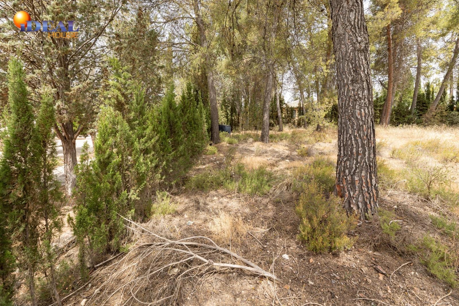 Tontti myytävänä paikassa Albolote - 300 000 € (Ref: 9434092)