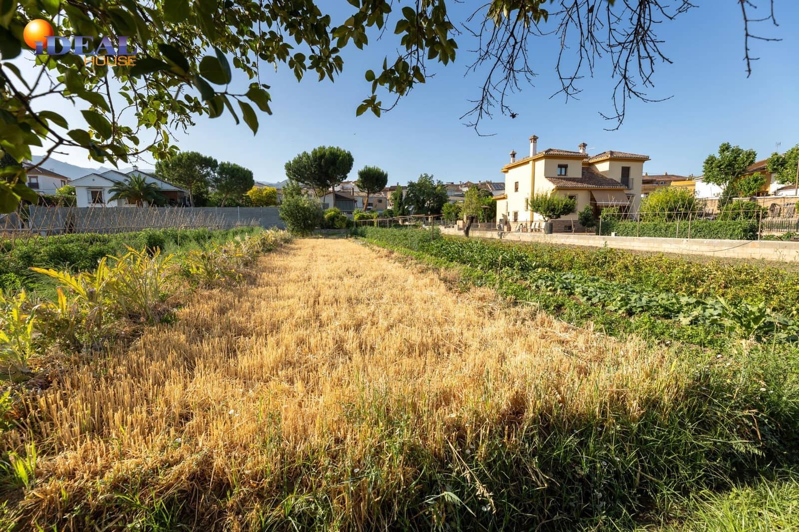 Tomt till salu i La Zubia - 225 000 € (Ref: 9434117)