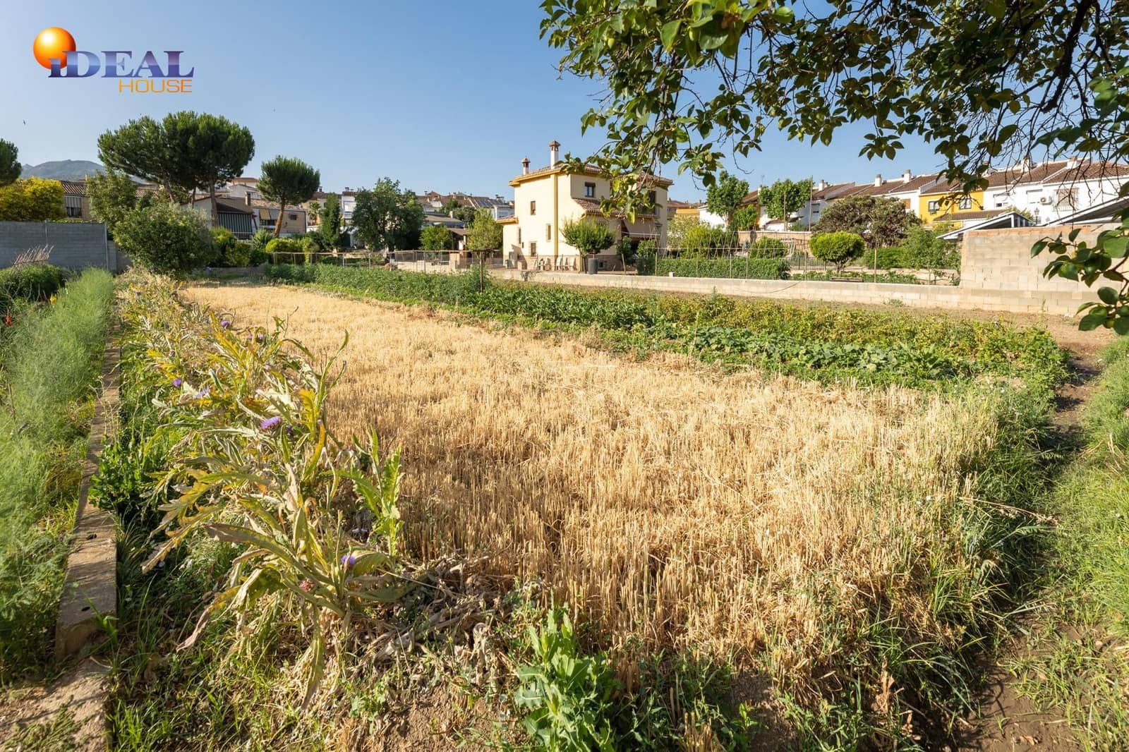 Tomt till salu i La Zubia - 225 000 € (Ref: 9434117)