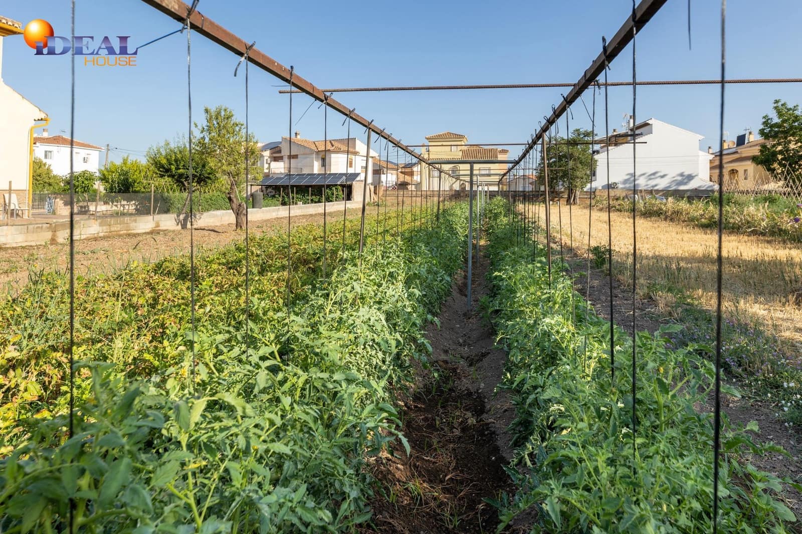 Tomt till salu i La Zubia - 225 000 € (Ref: 9434117)