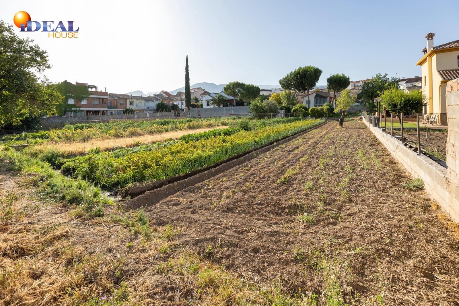 Tomt till salu i La Zubia - 225 000 € (Ref: 9434117)