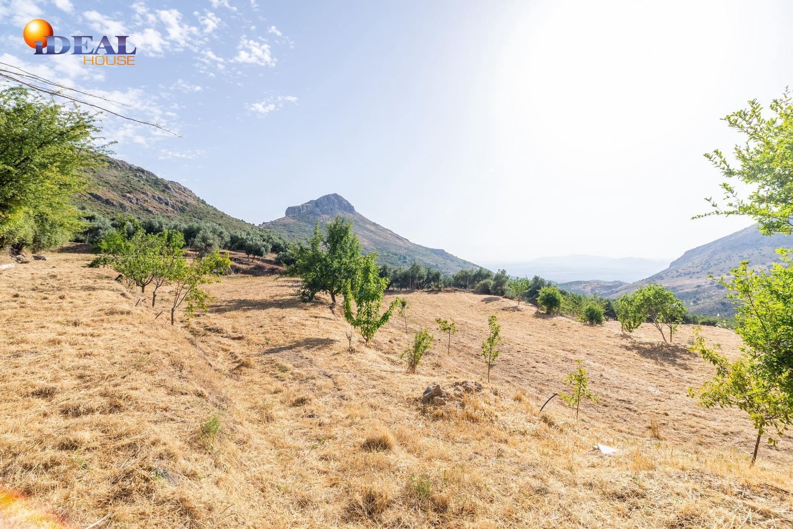 3 bedroom Finca/Country House for sale in Cogollos Vega - € 205,000 (Ref: 9434147)