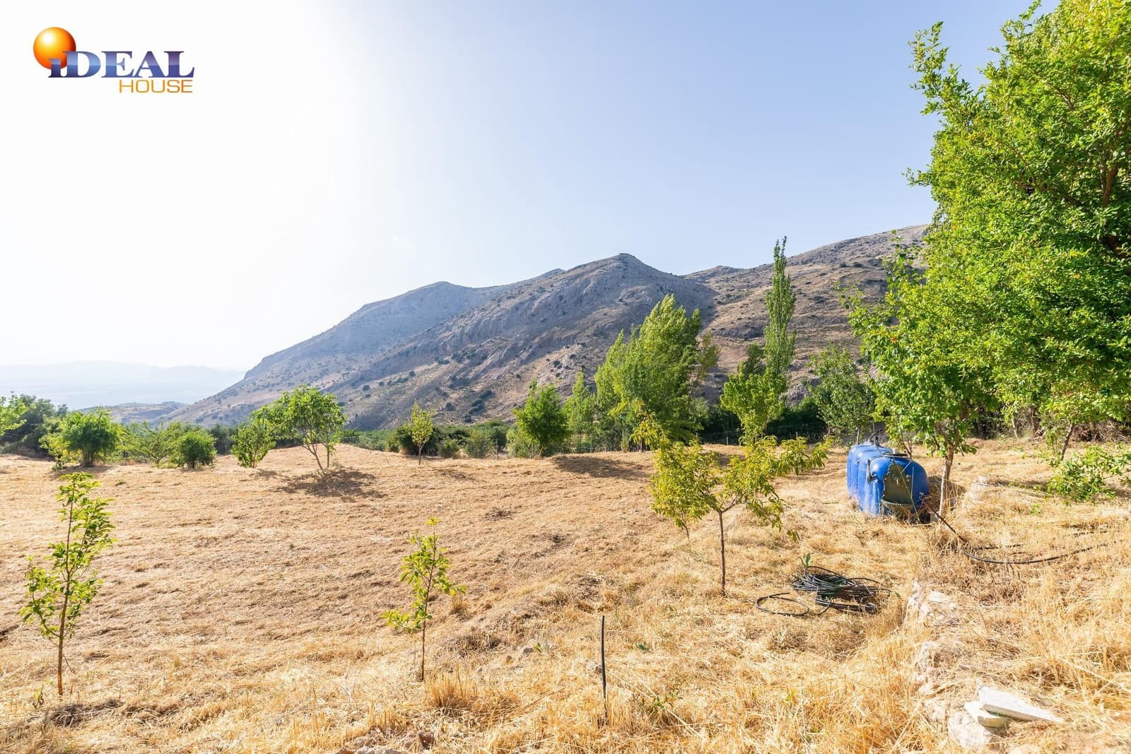 3 bedroom Finca/Country House for sale in Cogollos Vega - € 205,000 (Ref: 9434147)