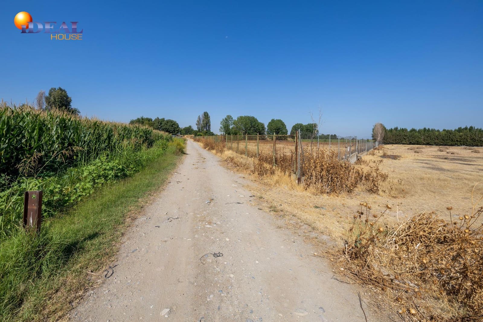 Ubebygd land til salgs i Granada by - € 220 000 (Ref: 9434159)