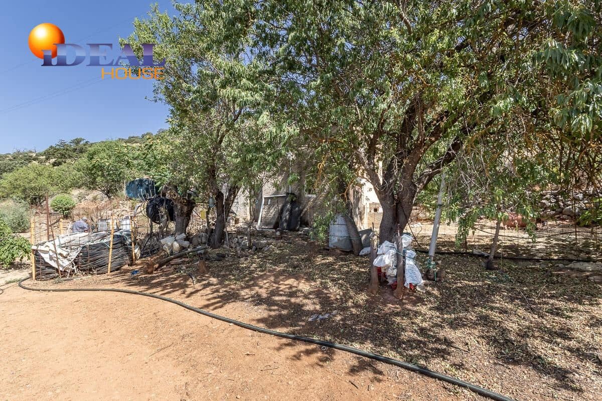 Grunde uden byggetilladelser til salg i Montefrio - € 240.000 (Ref: 9434166)