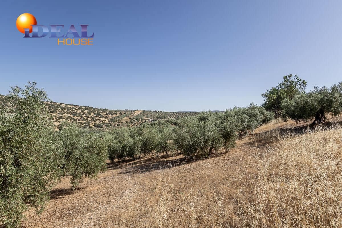 Grunde uden byggetilladelser til salg i Montefrio - € 240.000 (Ref: 9434166)