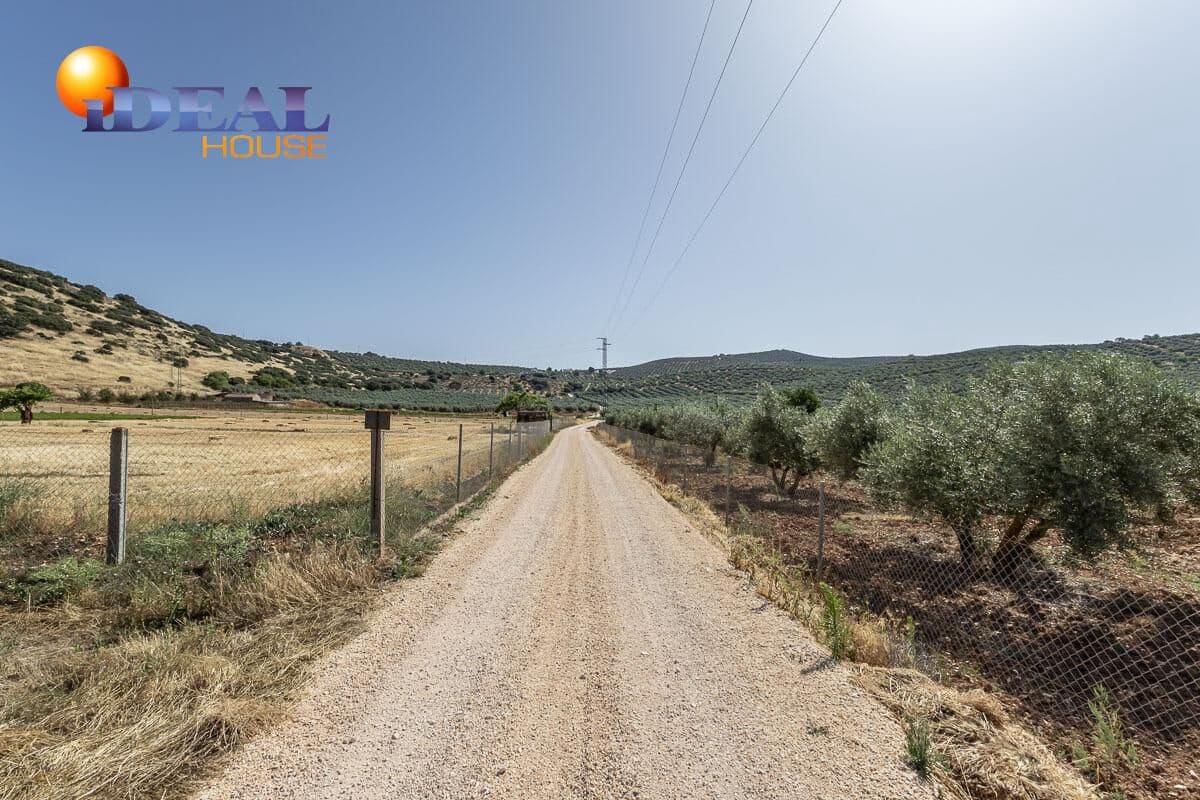 Grunde uden byggetilladelser til salg i Montefrio - € 240.000 (Ref: 9434166)