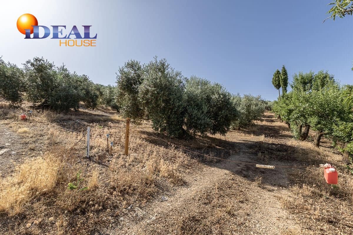 Grunde uden byggetilladelser til salg i Montefrio - € 240.000 (Ref: 9434166)