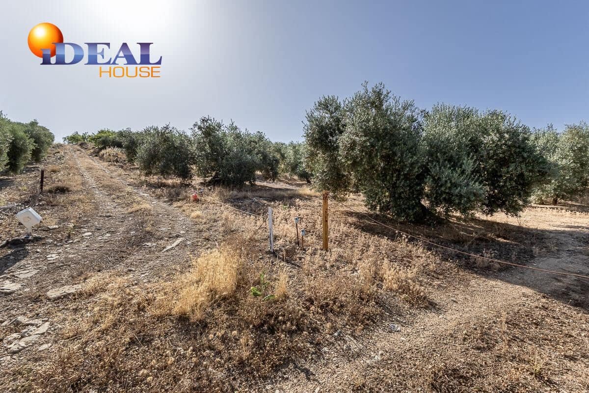 Grunde uden byggetilladelser til salg i Montefrio - € 240.000 (Ref: 9434166)