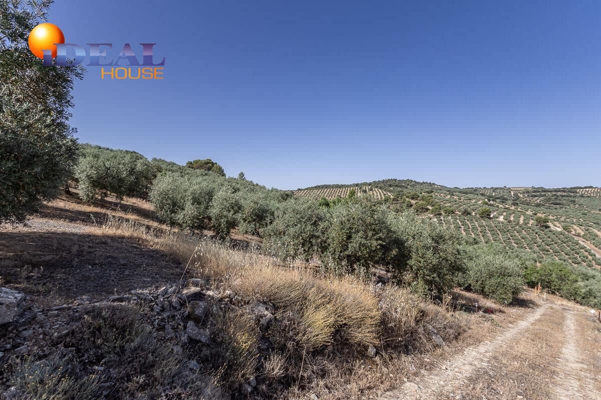 Grunde uden byggetilladelser til salg i Montefrio - € 240.000 (Ref: 9434166)