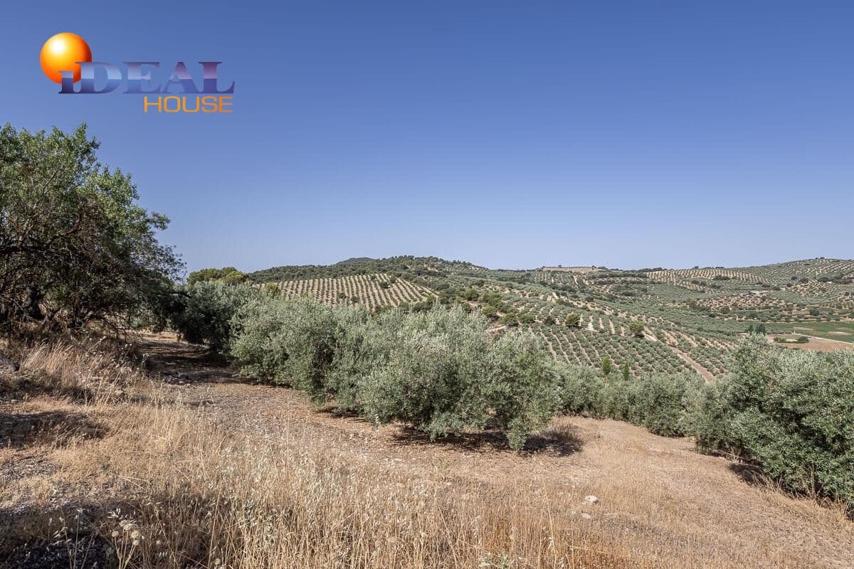 Grunde uden byggetilladelser til salg i Montefrio - € 240.000 (Ref: 9434166)