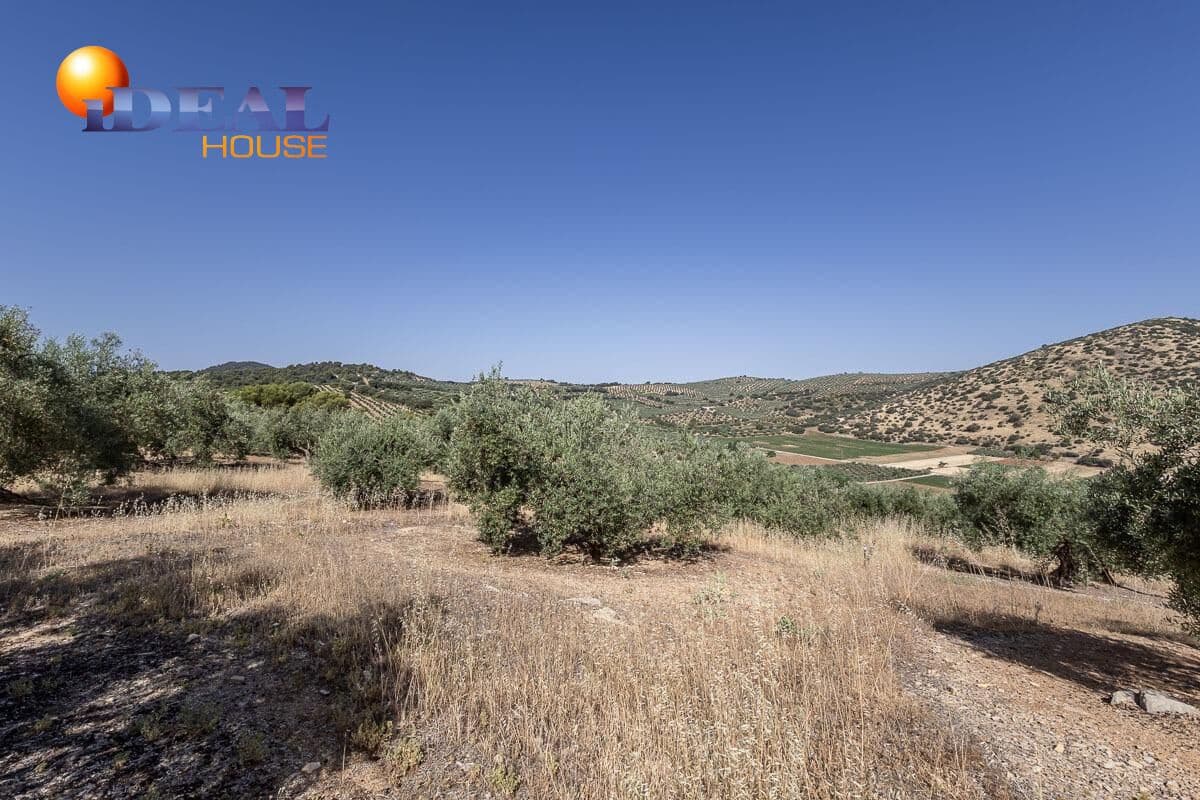 Grunde uden byggetilladelser til salg i Montefrio - € 240.000 (Ref: 9434166)