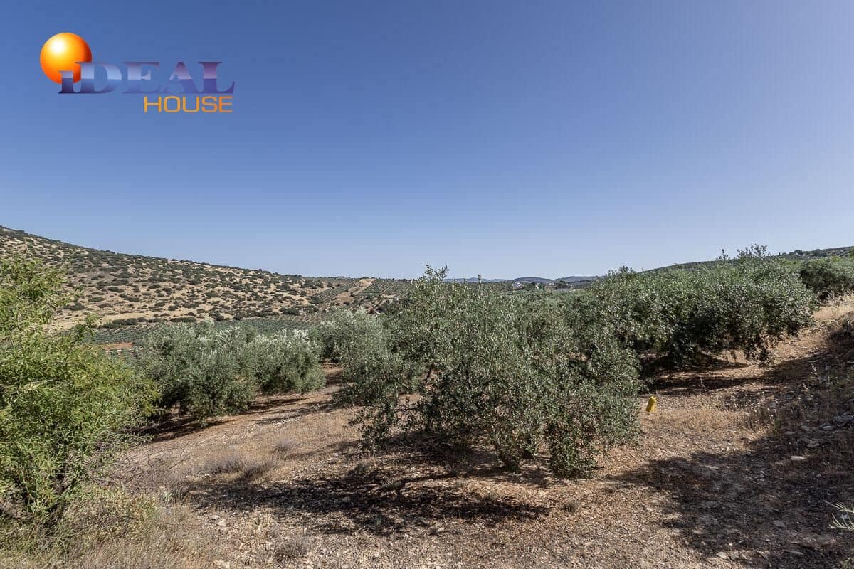 Grunde uden byggetilladelser til salg i Montefrio - € 240.000 (Ref: 9434166)