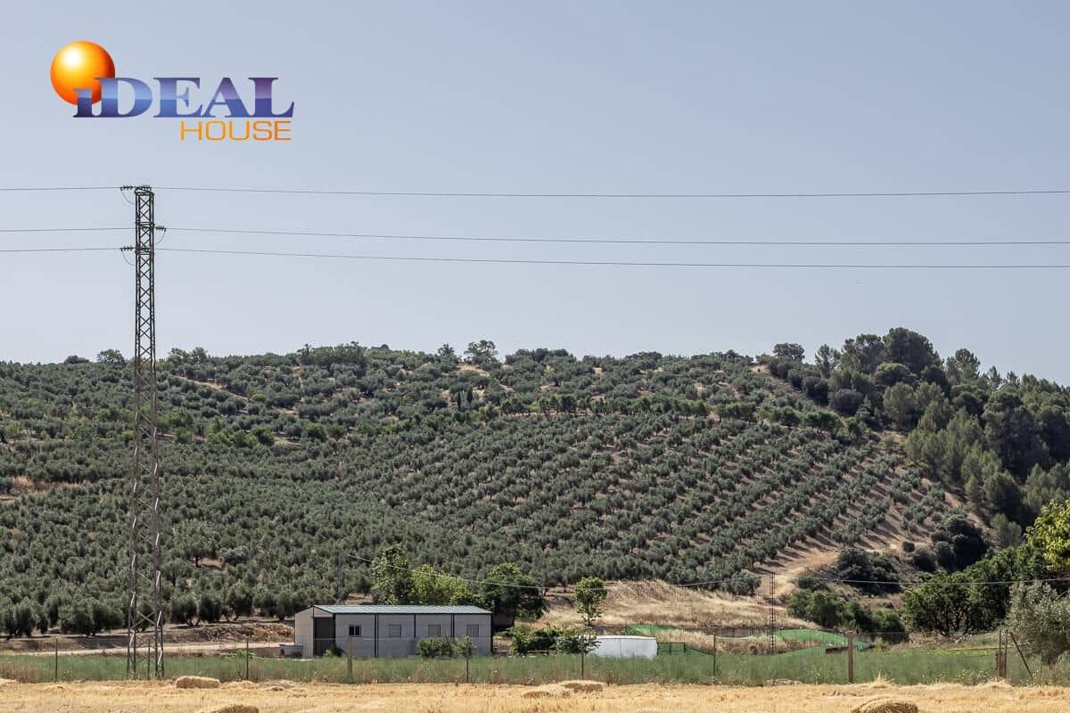 Grunde uden byggetilladelser til salg i Montefrio - € 240.000 (Ref: 9434166)