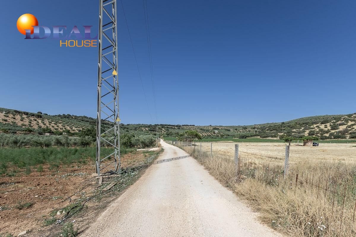 Grunde uden byggetilladelser til salg i Montefrio - € 240.000 (Ref: 9434166)