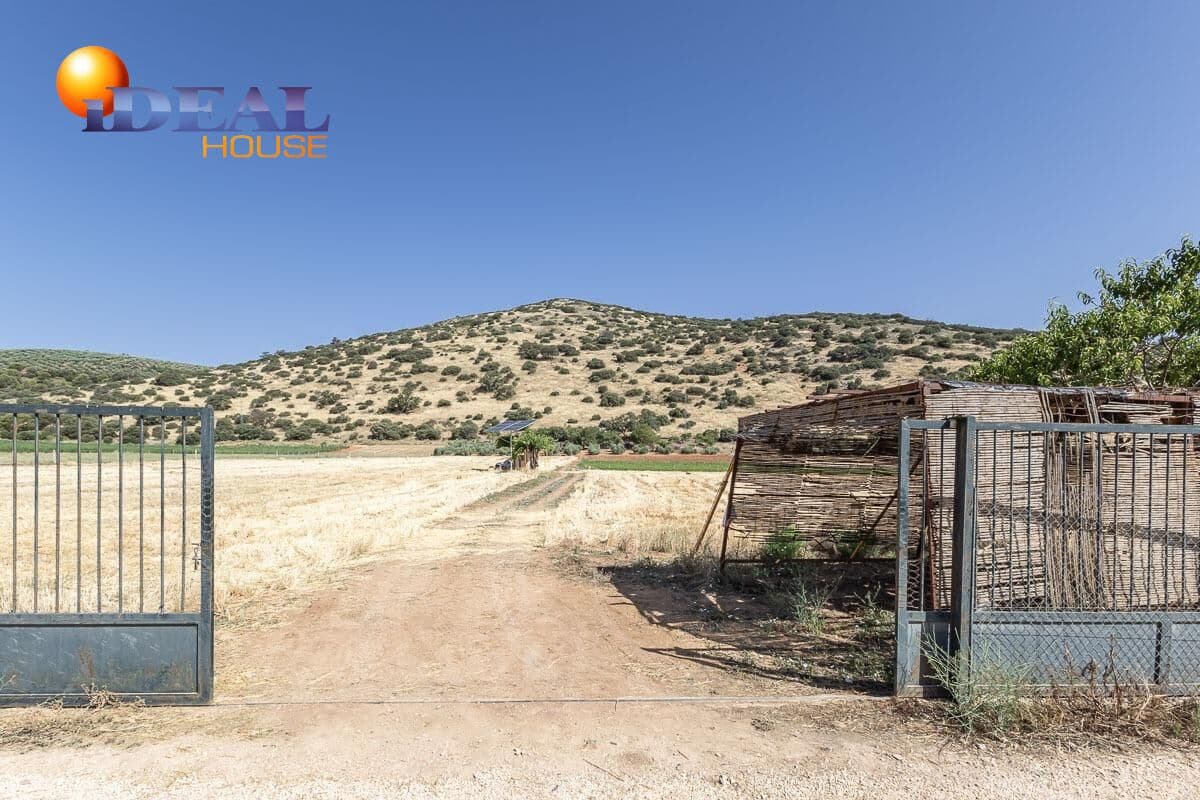 Grunde uden byggetilladelser til salg i Montefrio - € 240.000 (Ref: 9434166)