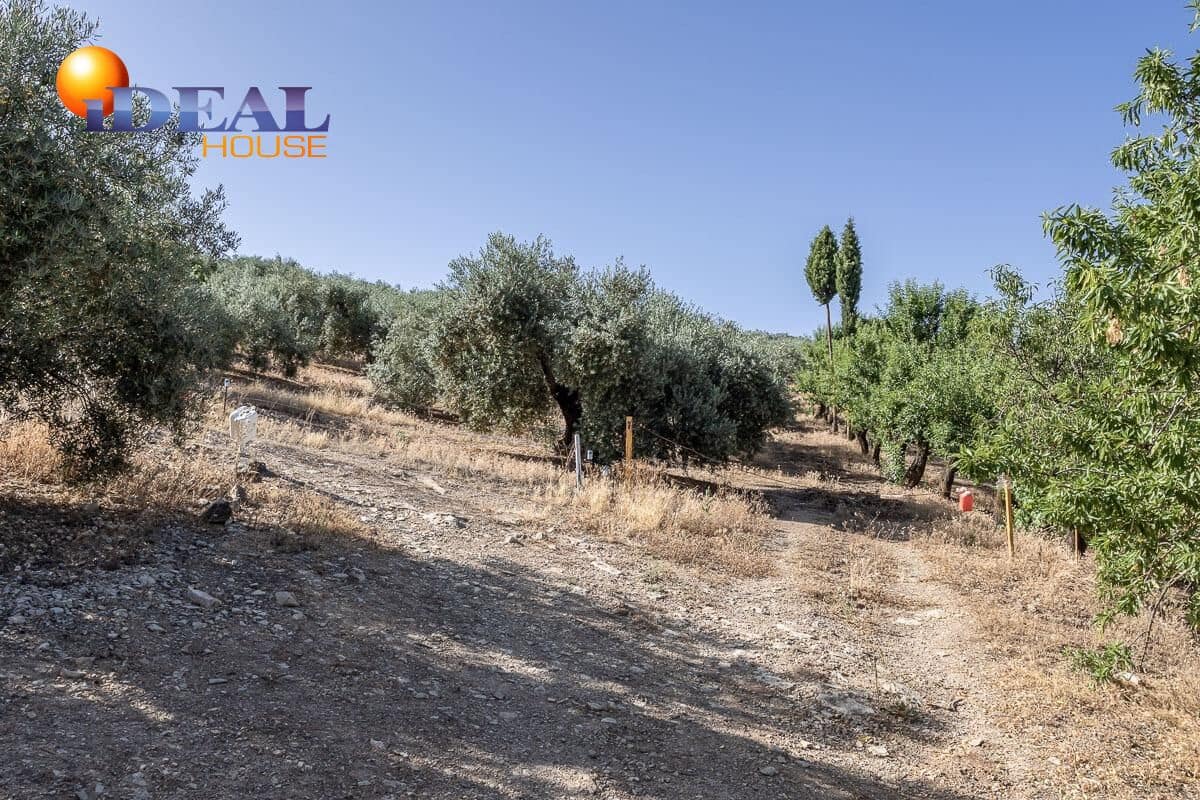 Grunde uden byggetilladelser til salg i Montefrio - € 240.000 (Ref: 9434166)