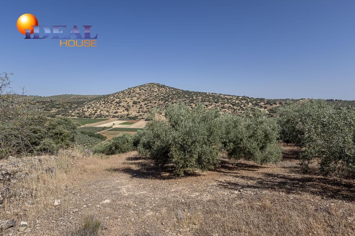 Grunde uden byggetilladelser til salg i Montefrio - € 240.000 (Ref: 9434166)