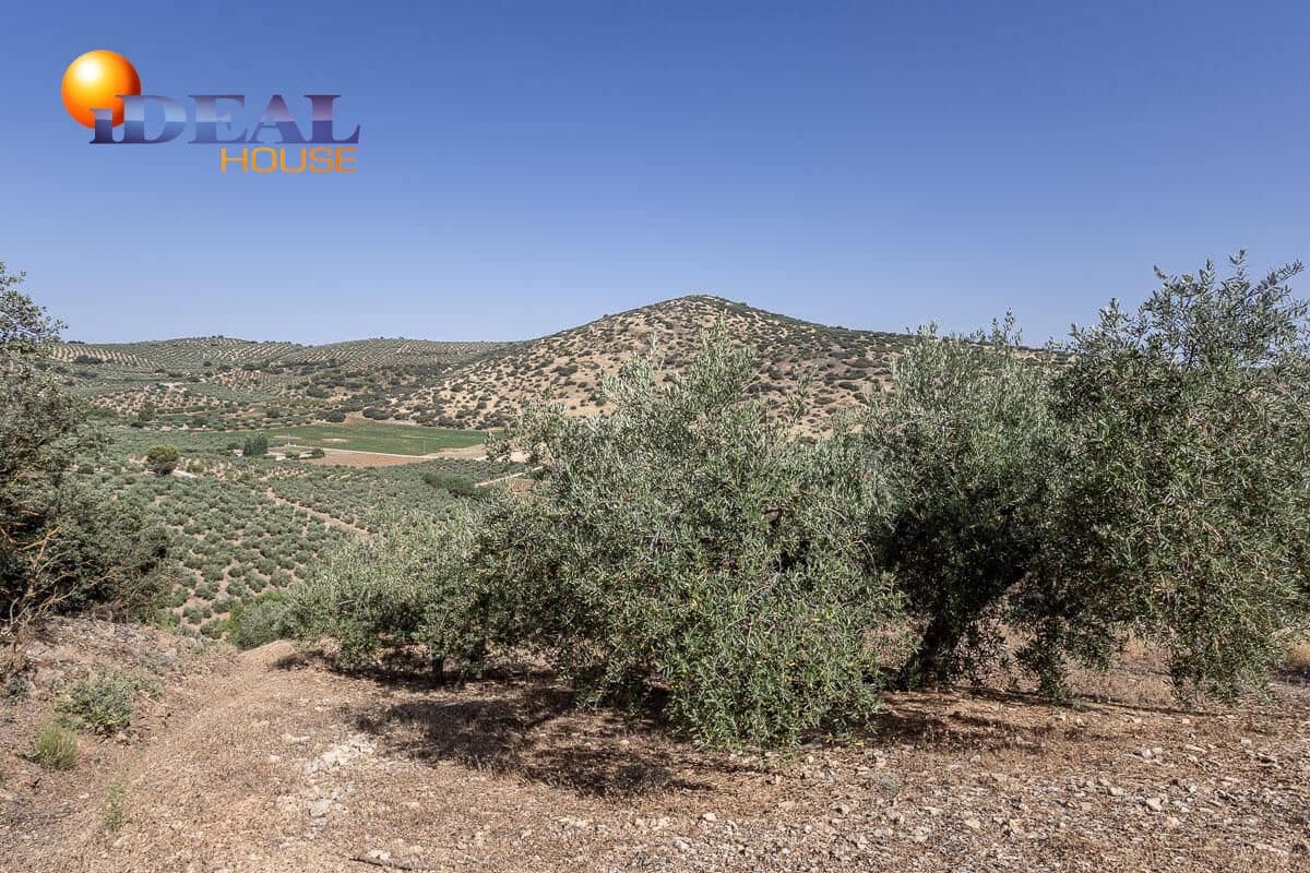 Grunde uden byggetilladelser til salg i Montefrio - € 240.000 (Ref: 9434166)