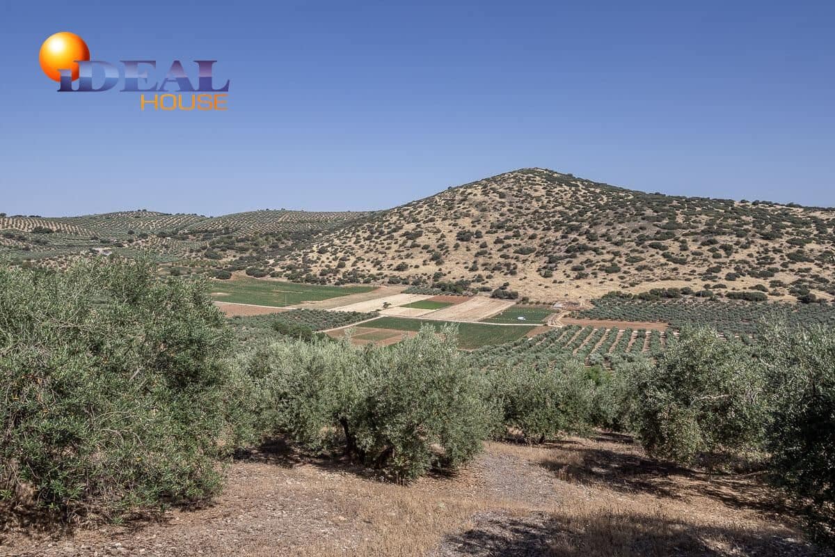 Grunde uden byggetilladelser til salg i Montefrio - € 240.000 (Ref: 9434166)