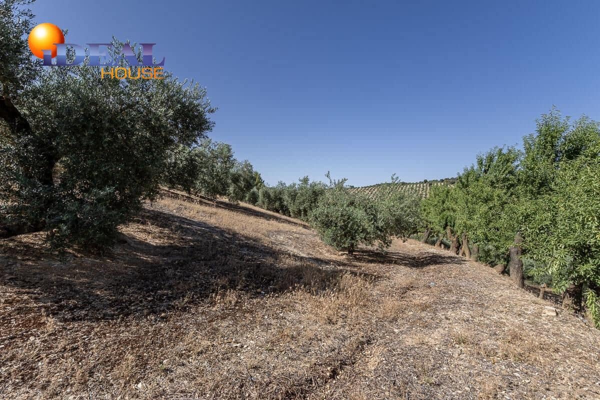 Grunde uden byggetilladelser til salg i Montefrio - € 240.000 (Ref: 9434166)