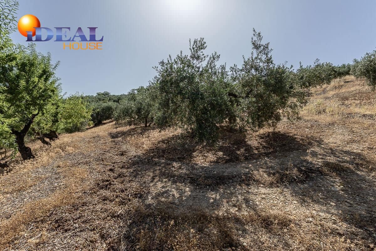 Grunde uden byggetilladelser til salg i Montefrio - € 240.000 (Ref: 9434166)