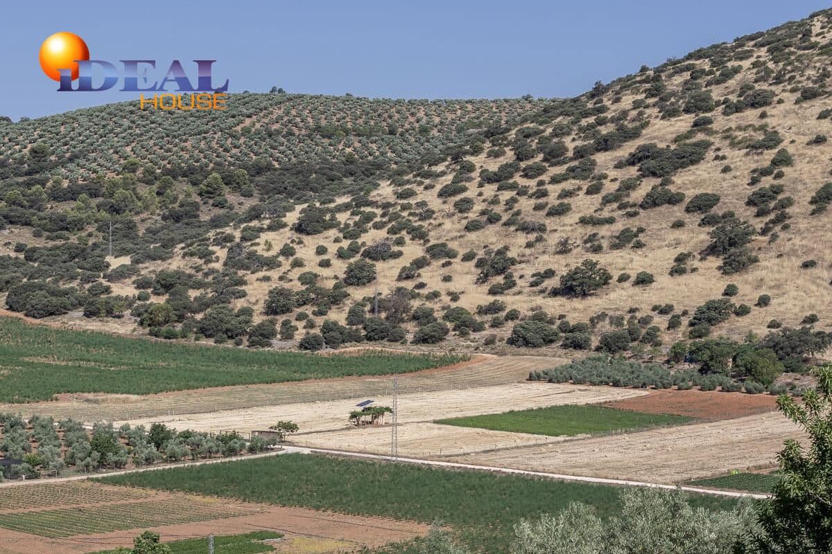 Grunde uden byggetilladelser til salg i Montefrio - € 240.000 (Ref: 9434166)