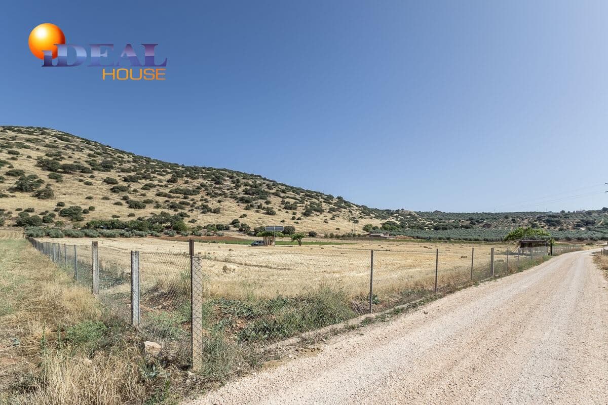 Grunde uden byggetilladelser til salg i Montefrio - € 240.000 (Ref: 9434166)