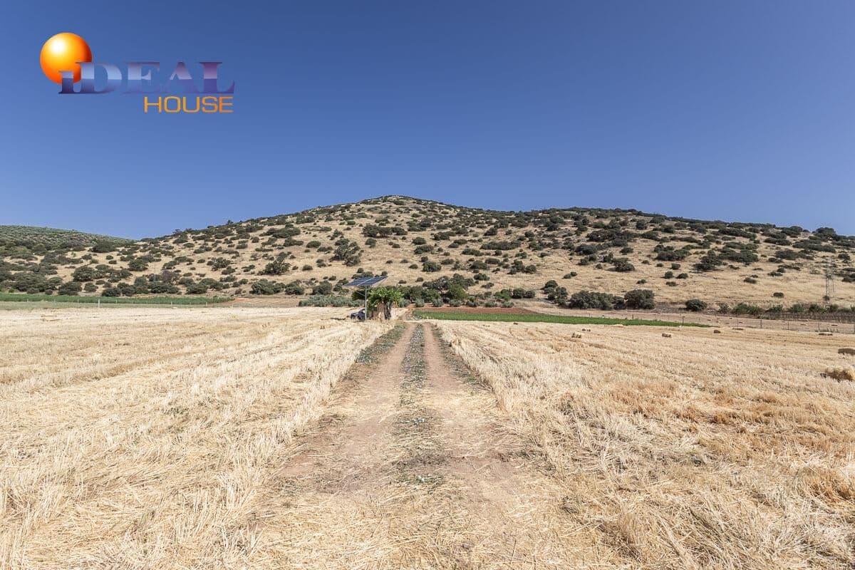 Grunde uden byggetilladelser til salg i Montefrio - € 240.000 (Ref: 9434166)