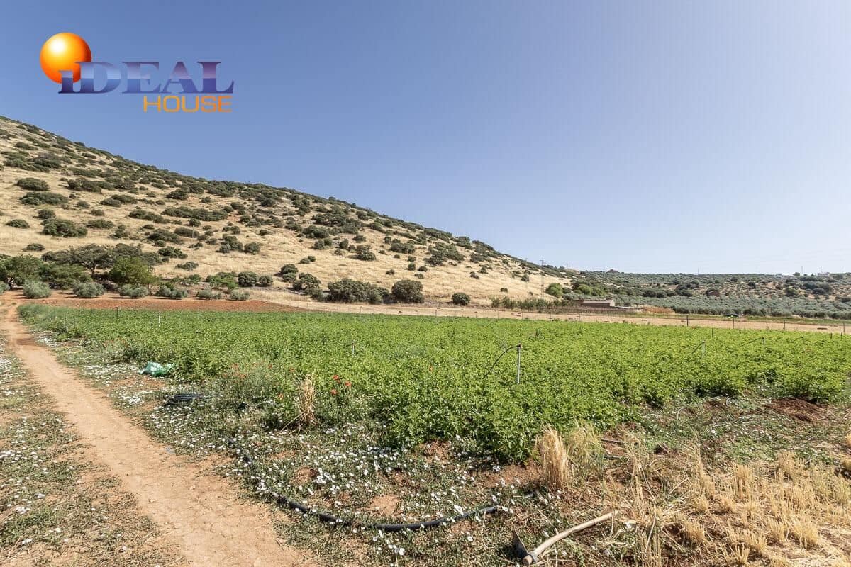 Grunde uden byggetilladelser til salg i Montefrio - € 240.000 (Ref: 9434166)