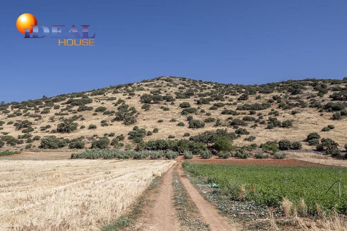 Grunde uden byggetilladelser til salg i Montefrio - € 240.000 (Ref: 9434166)