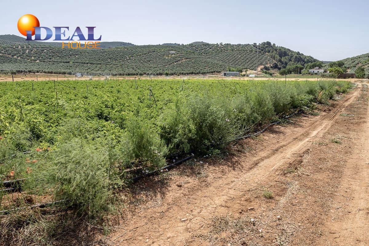 Grunde uden byggetilladelser til salg i Montefrio - € 240.000 (Ref: 9434166)