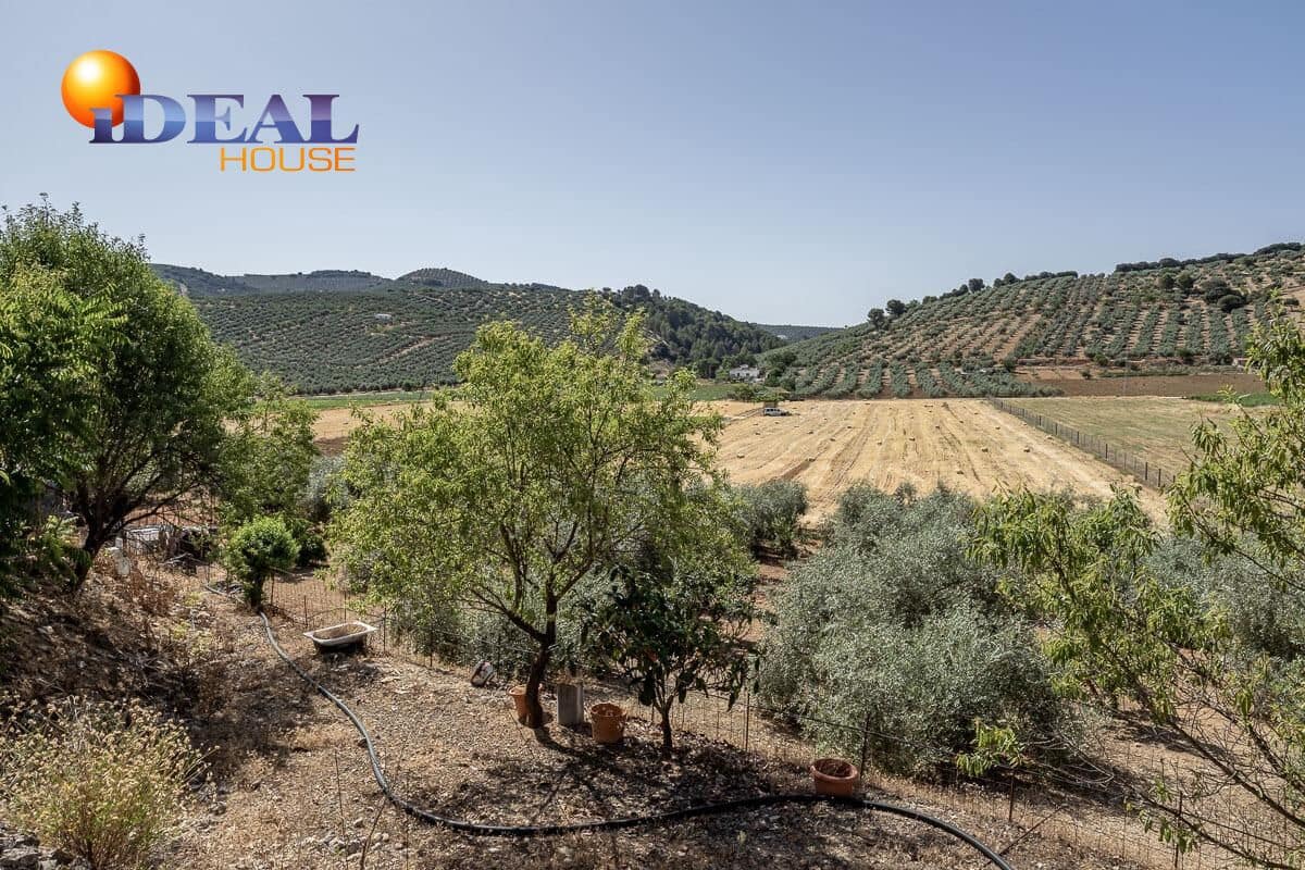 Grunde uden byggetilladelser til salg i Montefrio - € 240.000 (Ref: 9434166)