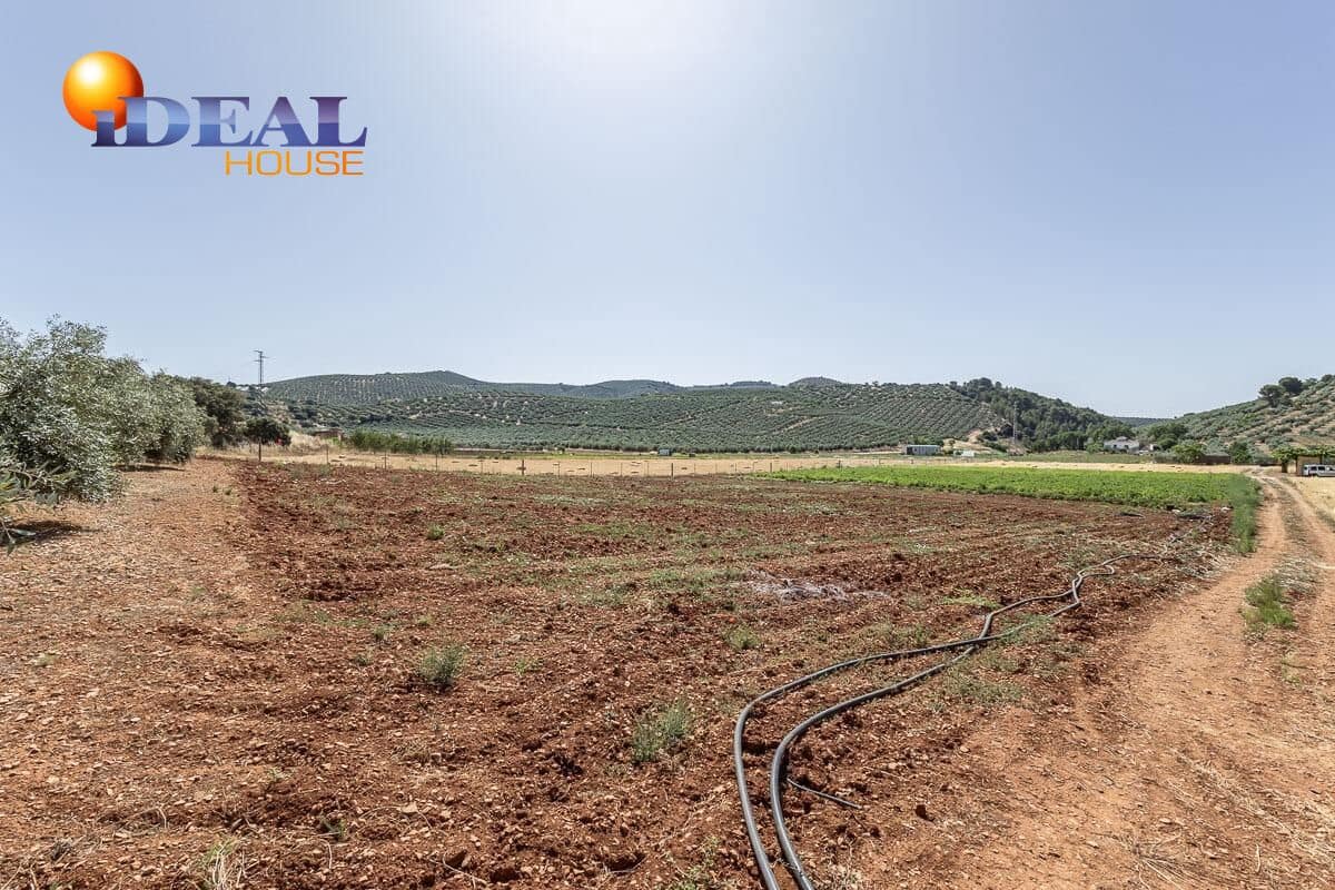 Grunde uden byggetilladelser til salg i Montefrio - € 240.000 (Ref: 9434166)