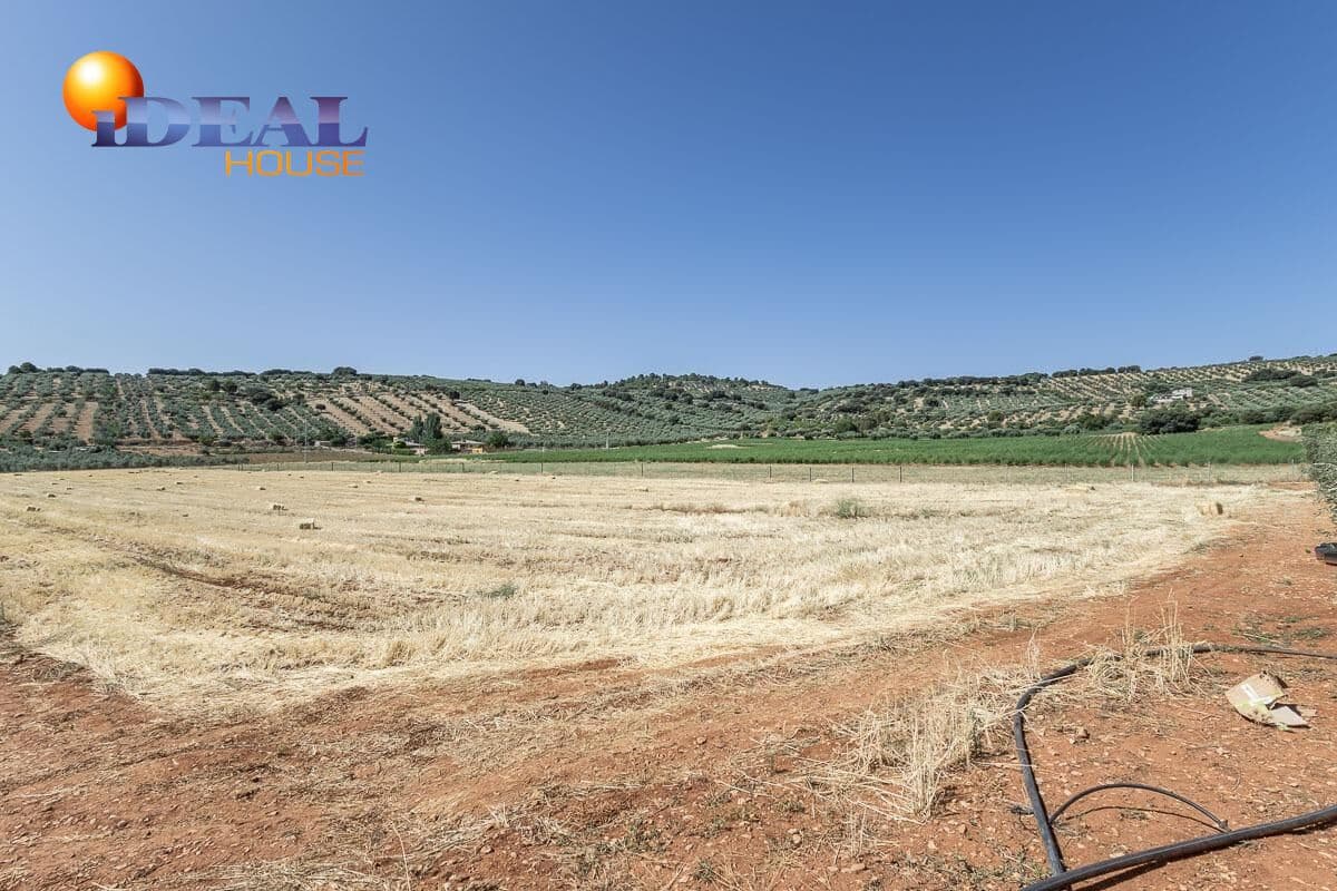 Grunde uden byggetilladelser til salg i Montefrio - € 240.000 (Ref: 9434166)