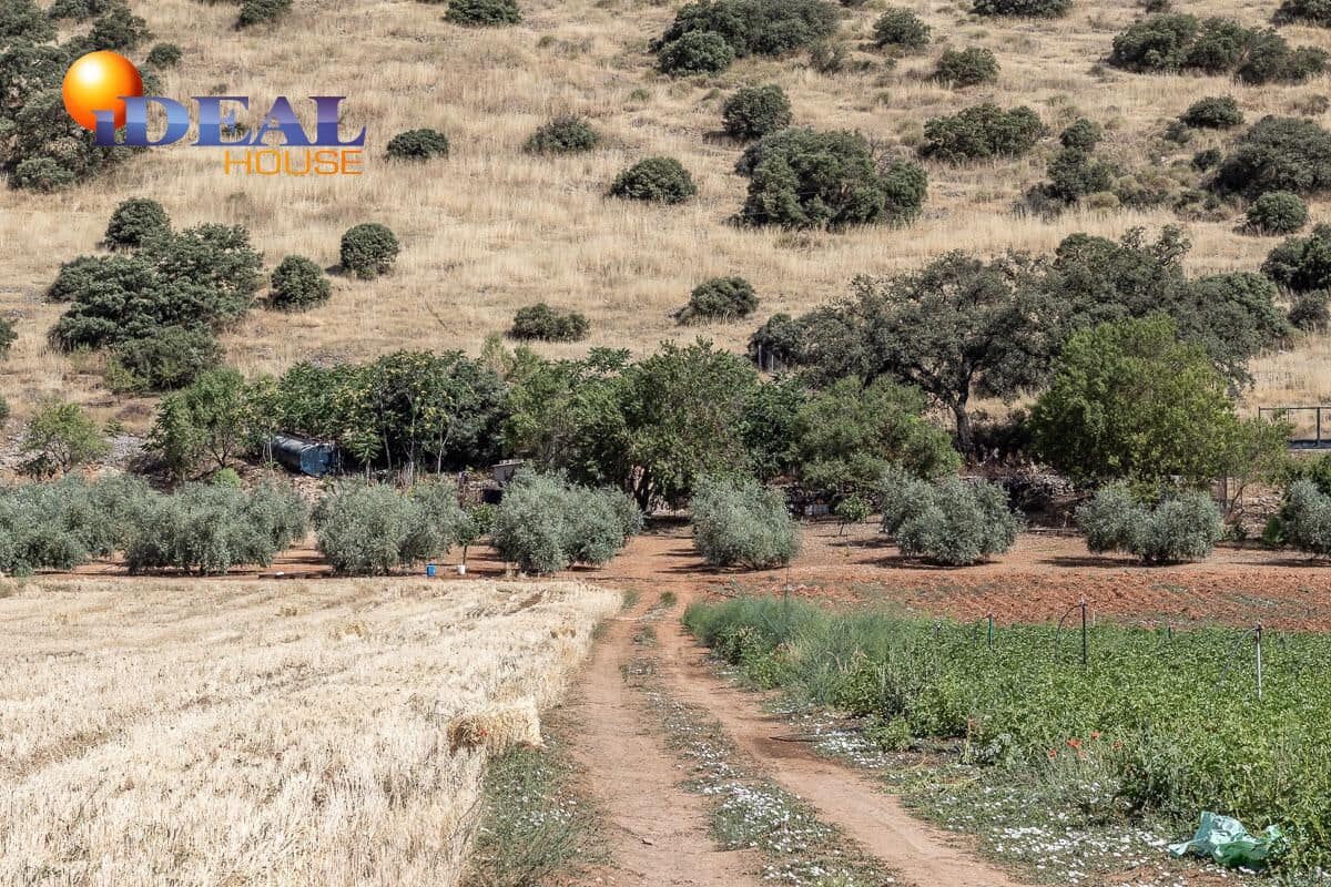 Grunde uden byggetilladelser til salg i Montefrio - € 240.000 (Ref: 9434166)