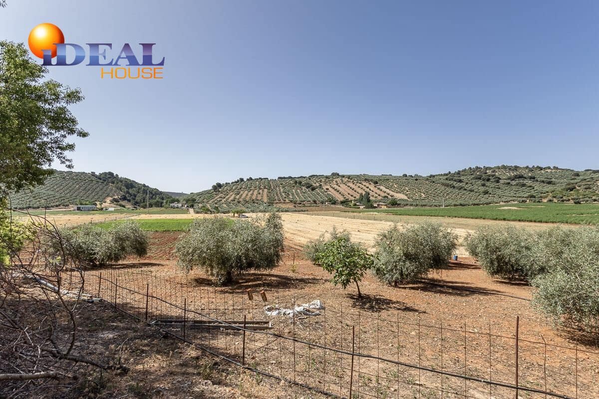 Grunde uden byggetilladelser til salg i Montefrio - € 240.000 (Ref: 9434166)