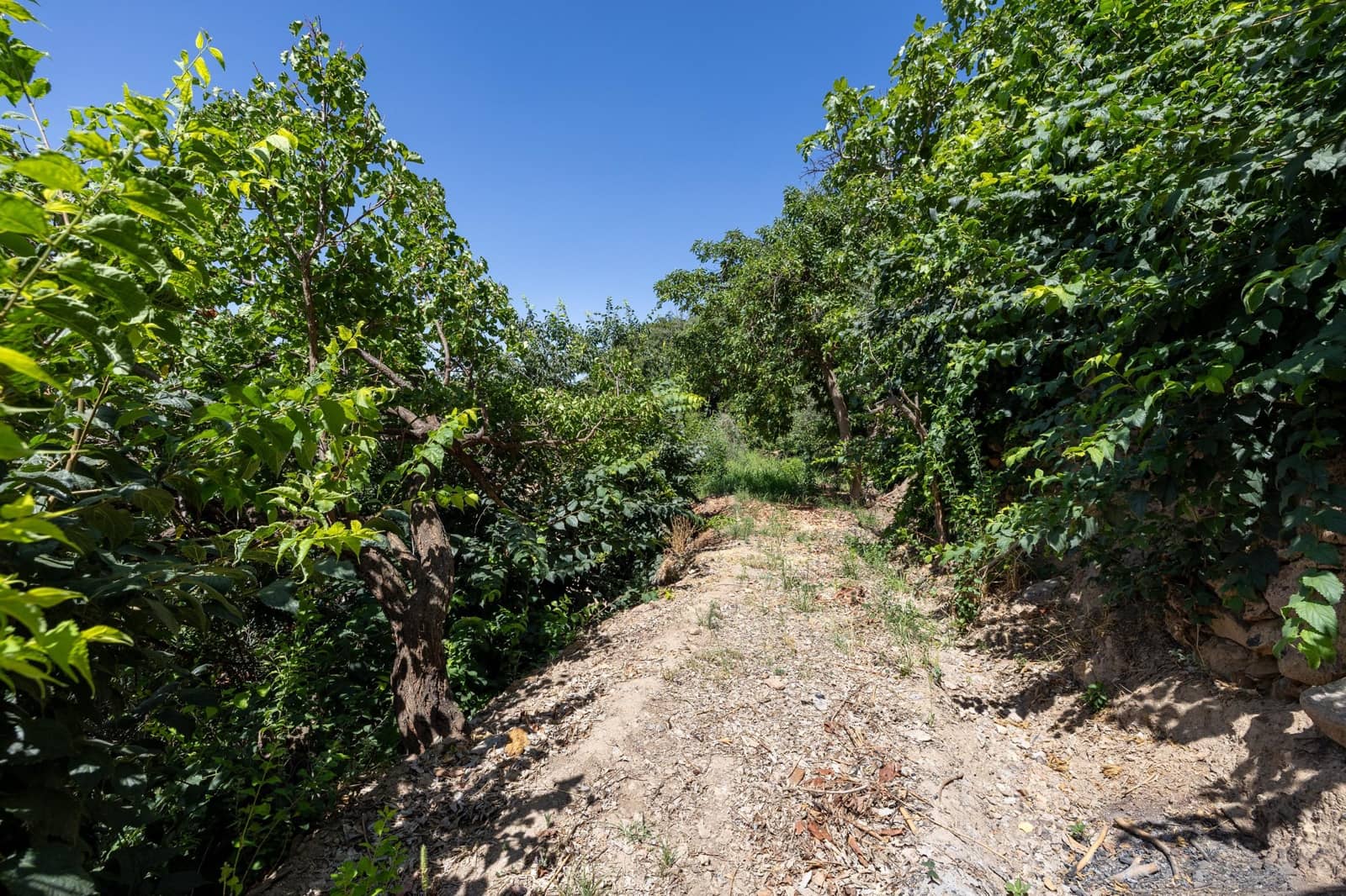 2 camera da letto Finca/Casa di Campagna in vendita in Lanjaron - 87.000 € (Rif: 9434169)